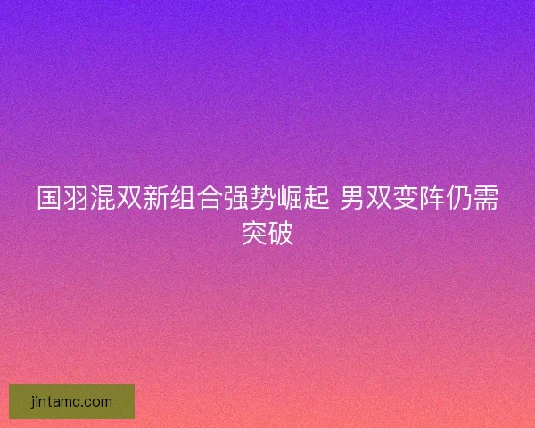 国羽混双新组合强势崛起 男双变阵仍需突破